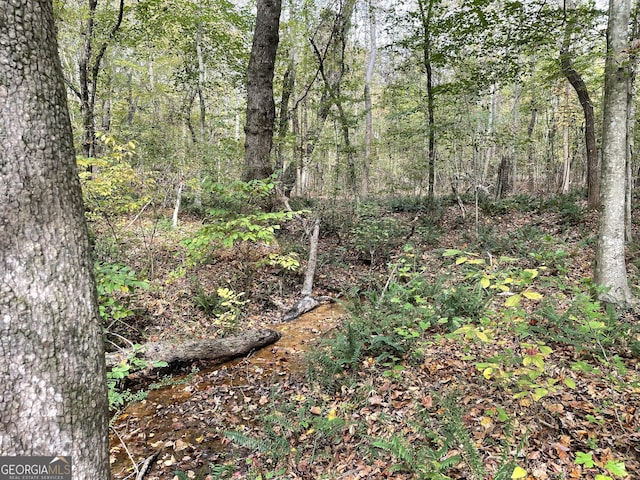 0 S Bridge Rd, Franklin, GA 30217