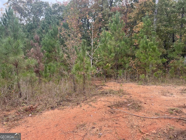 0 S Bridge Rd, Franklin, GA 30217