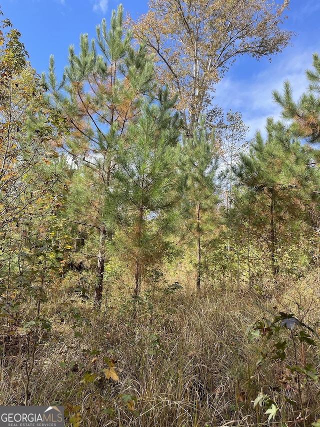 0 S Bridge Rd, Franklin, GA 30217