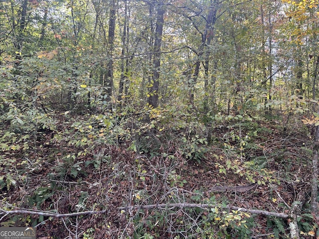0 S Bridge Rd, Franklin, GA 30217