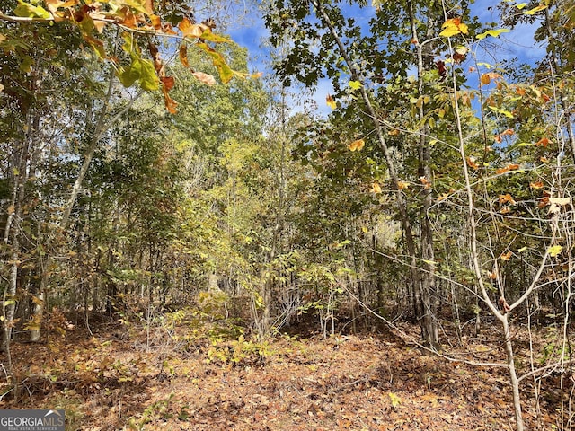 0 S Bridge Rd, Franklin, GA 30217