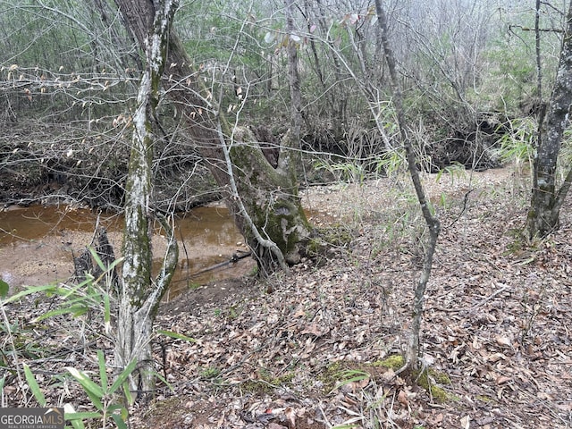 0 S Bridge Rd, Franklin, GA 30217