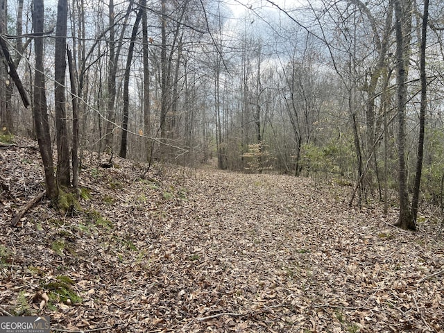 0 S Bridge Rd, Franklin, GA 30217