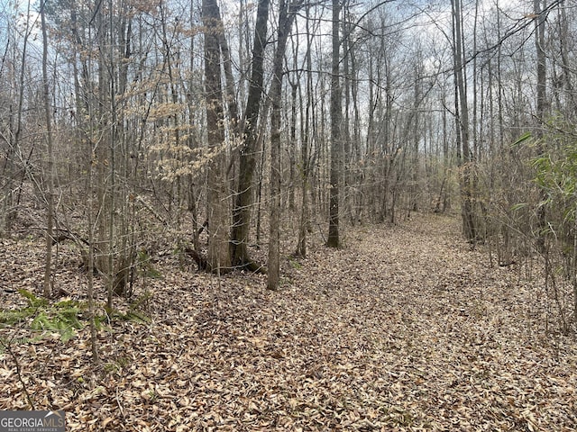 0 S Bridge Rd, Franklin, GA 30217
