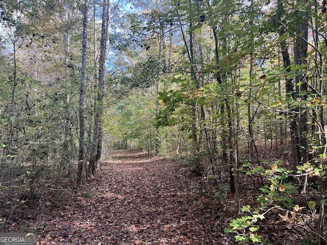 0 S Bridge Rd, Franklin, GA 30217
