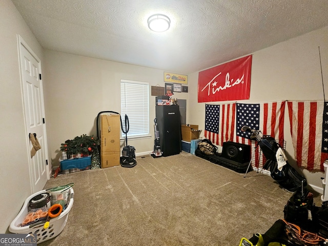 miscellaneous room featuring a textured ceiling and carpet floors