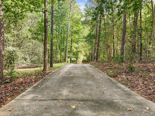 4394 Holly Springs Rd, Pendergrass, GA 30567 - view of road with a wooded view
