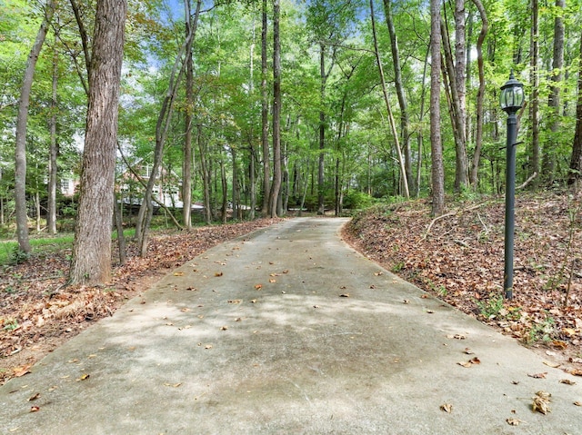 4394 Holly Springs Rd, Pendergrass, GA 30567 - view of street featuring a wooded view and street lighting