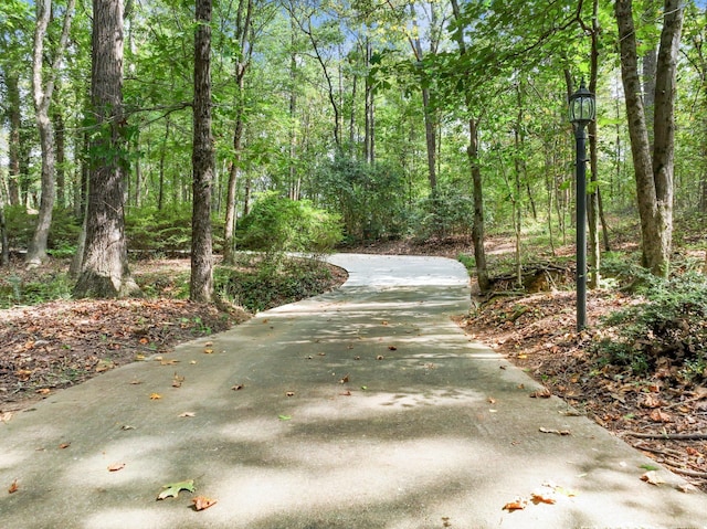 4394 Holly Springs Rd, Pendergrass, GA 30567 - view of community with a view of trees