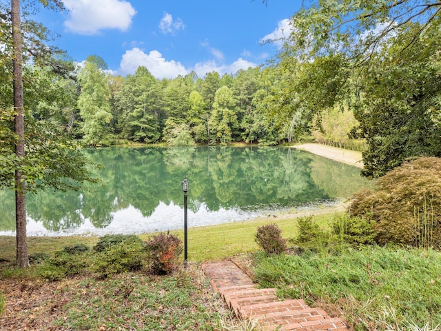 view of water feature