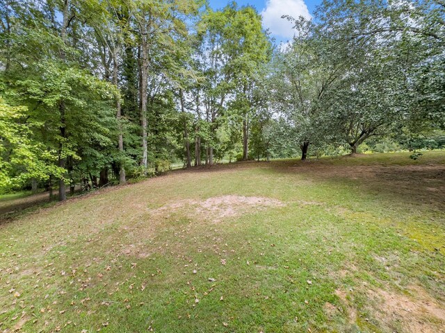 4394 Holly Springs Rd, Pendergrass, GA 30567 - view of yard