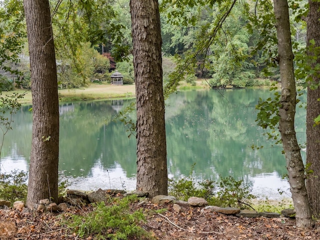 water view with a gazebo