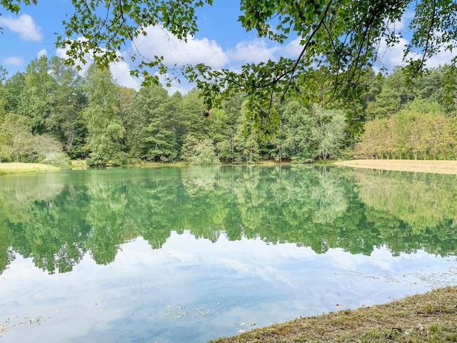 4394 Holly Springs Rd, Pendergrass, GA 30567 - water view with a view of trees