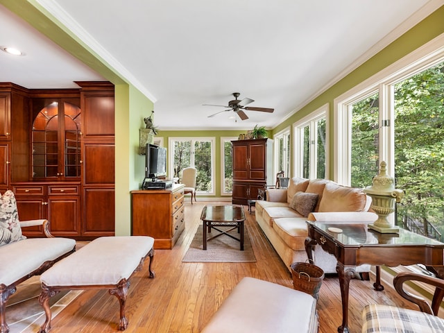 living room with light wood-type flooring, ceiling fan, a healthy amount of sunlight, and crown molding