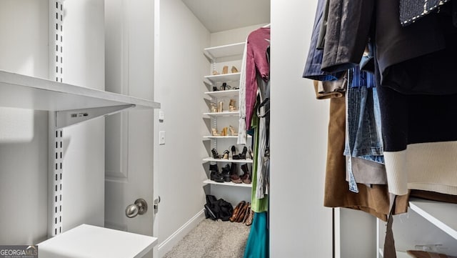 view of walk in closet