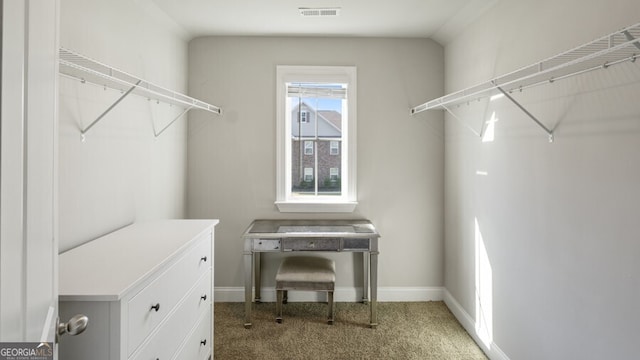 spacious closet with carpet floors