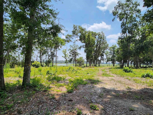 5978 Harrietts Bluff Rd, Woodbine, GA 31569