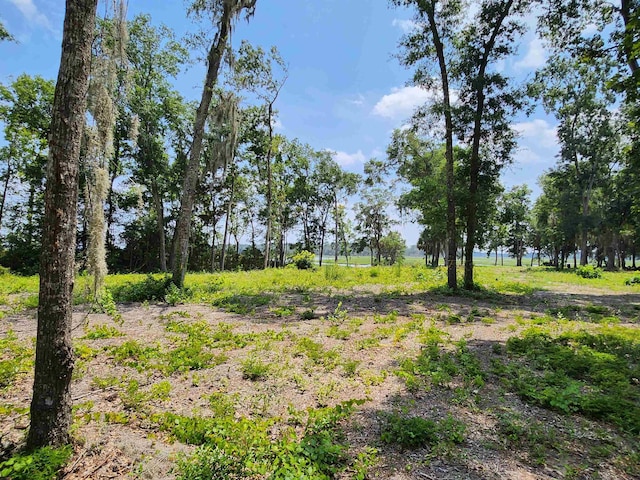 5978 Harrietts Bluff Rd, Woodbine, GA 31569