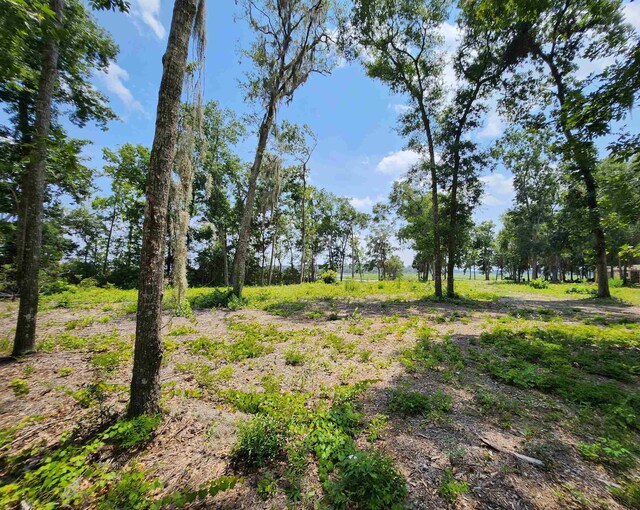 5978 Harrietts Bluff Rd, Woodbine, GA 31569