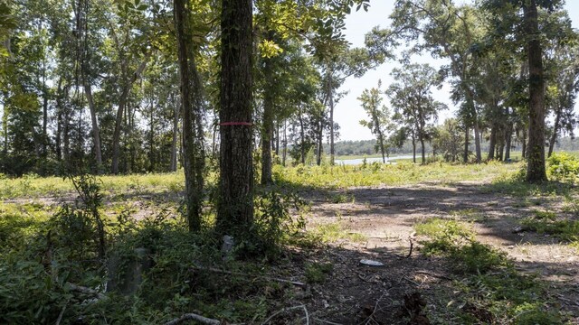 5978 Harrietts Bluff Rd, Woodbine, GA 31569