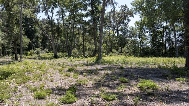 5978 Harrietts Bluff Rd, Woodbine, GA 31569