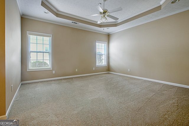 unfurnished room featuring ceiling fan, a tray ceiling, and a wealth of natural light