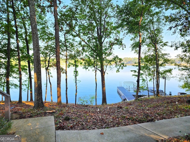 water view featuring a dock