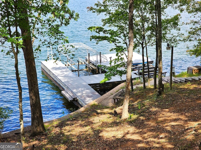 dock area with a water view