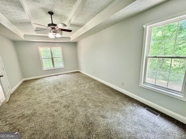 unfurnished room with a textured ceiling, a raised ceiling, ceiling fan, and plenty of natural light