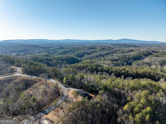 birds eye view of property with a mountain view