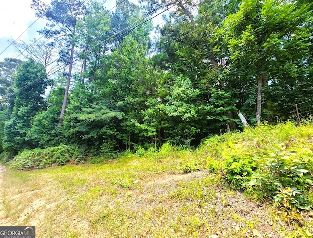 Listing photo 2 for 0 Old Milam Rd, Fayetteville GA 30214