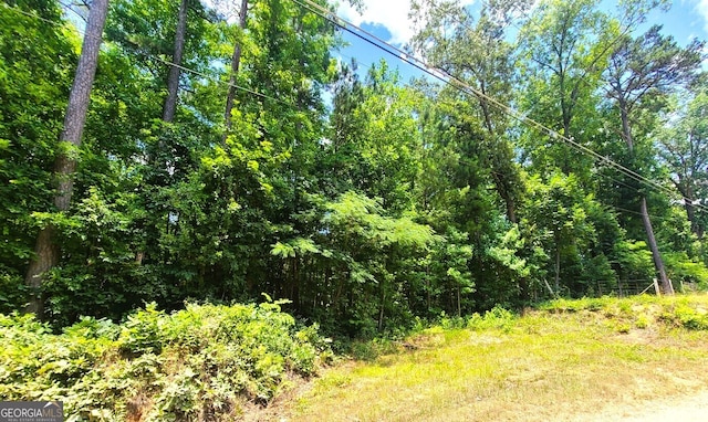 Listing photo 3 for 0 Old Milam Rd, Fayetteville GA 30214