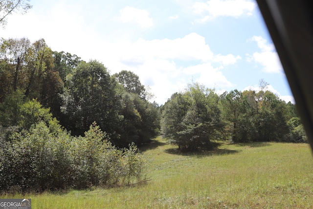 view of local wilderness