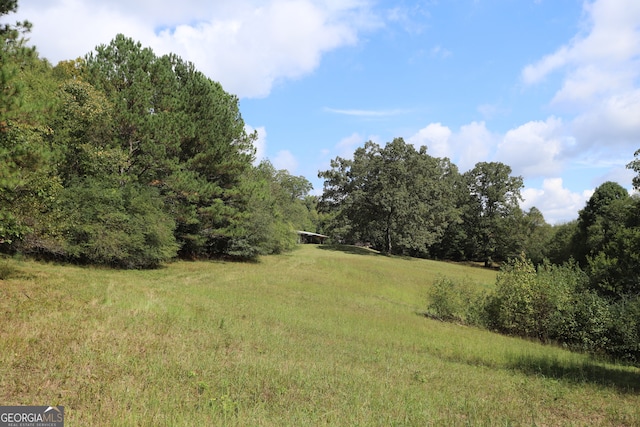 view of local wilderness