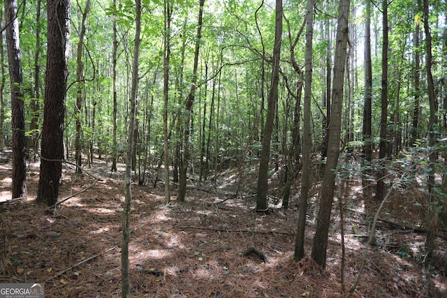 view of local wilderness