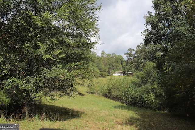 view of local wilderness