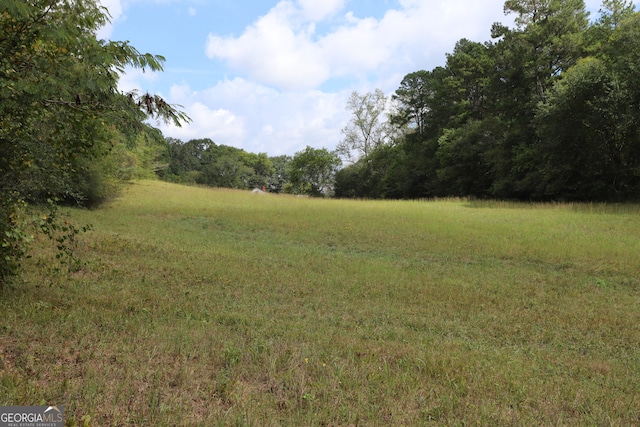 view of local wilderness