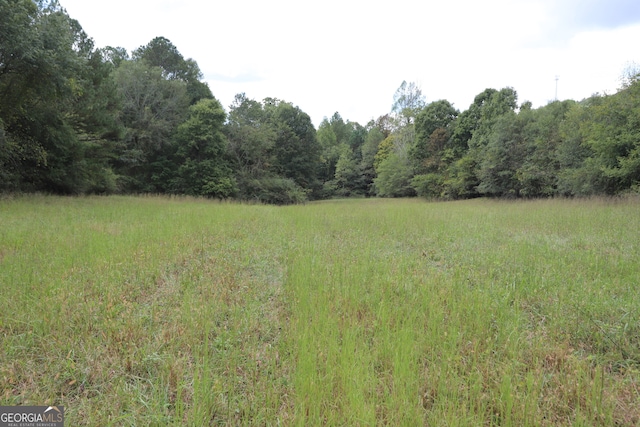 view of local wilderness