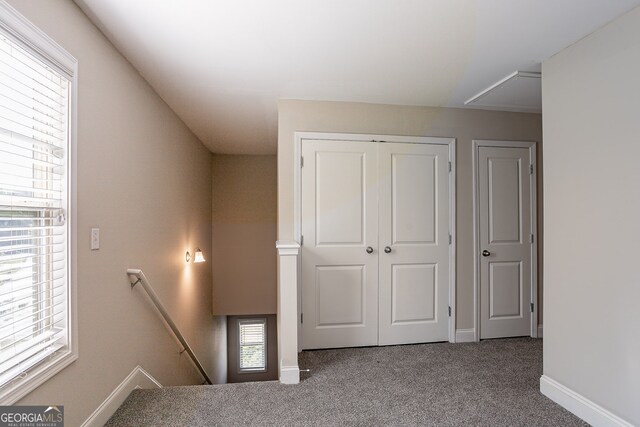 interior space featuring carpet and a healthy amount of sunlight