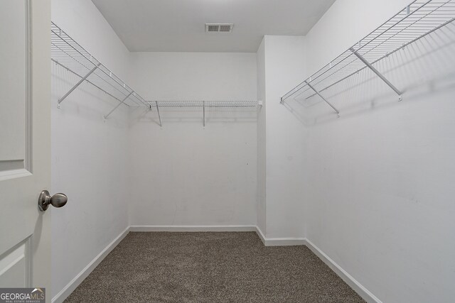 walk in closet featuring dark colored carpet