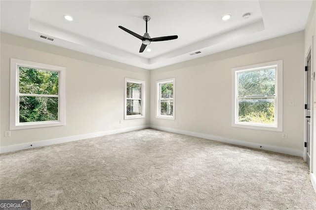 spare room featuring a healthy amount of sunlight, a tray ceiling, and light carpet