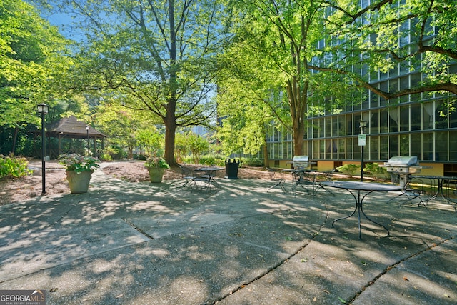 view of yard featuring a patio area