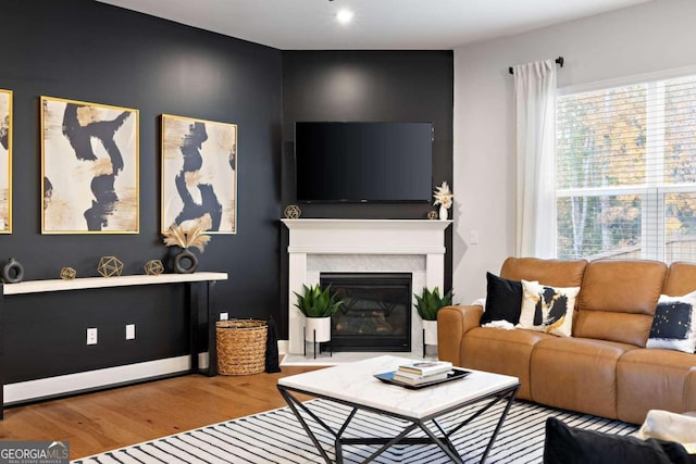 living room featuring hardwood / wood-style flooring and a healthy amount of sunlight