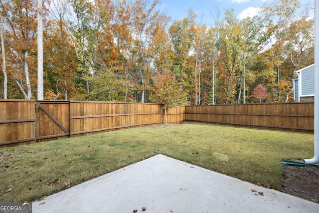 view of yard featuring a patio area