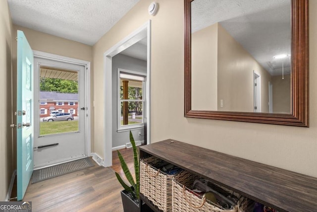 foyer entrance featuring wood-type flooring and a textured ceiling