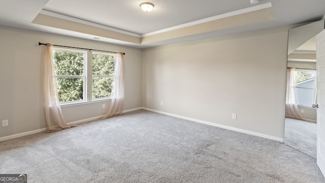 carpeted spare room with a raised ceiling and crown molding