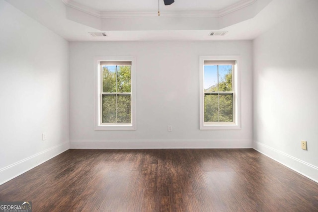 empty room featuring a healthy amount of sunlight, dark wood-type flooring, and a raised ceiling