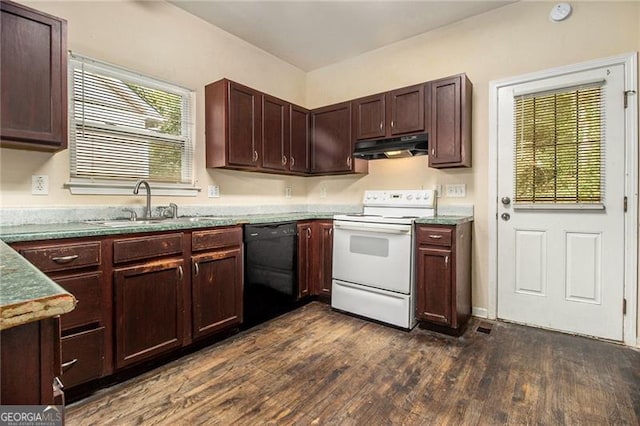 kitchen with dark wood-type flooring, sink, dishwasher, and electric stove