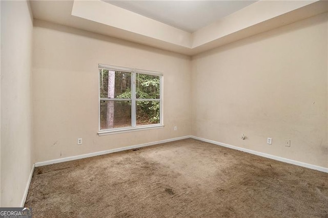 empty room featuring carpet flooring and a tray ceiling