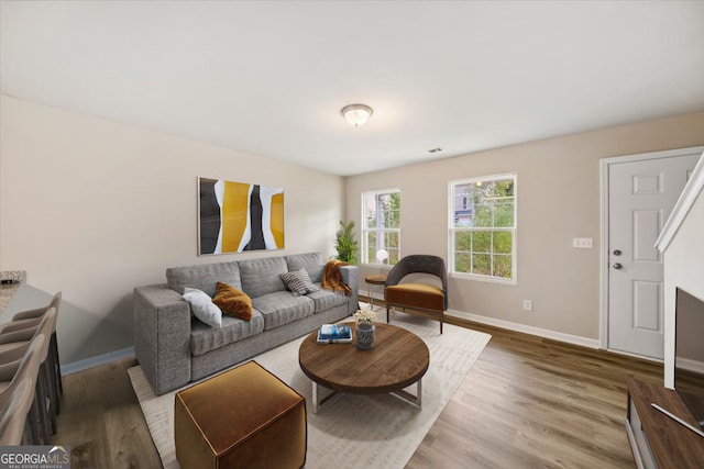 living room featuring hardwood / wood-style floors